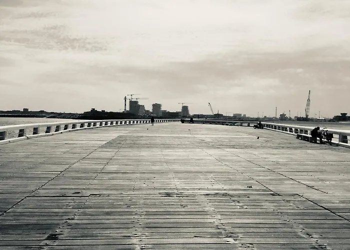 Rustig Met Zeezicht Dicht Bij Het Centrum Ostende